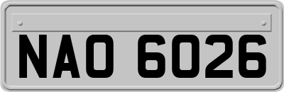 NAO6026