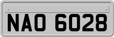 NAO6028