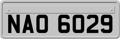 NAO6029