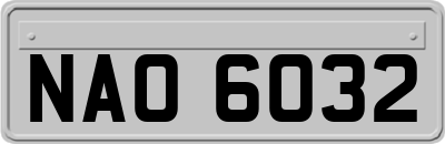 NAO6032