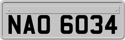 NAO6034