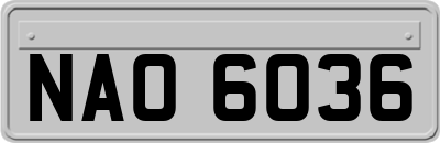 NAO6036