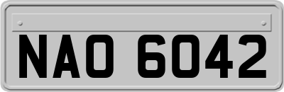 NAO6042