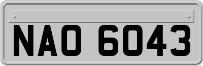 NAO6043