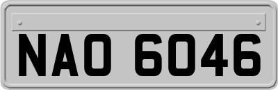 NAO6046