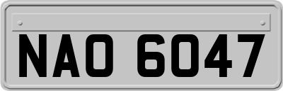 NAO6047