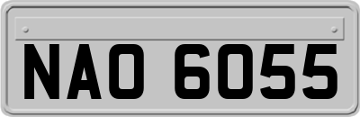 NAO6055