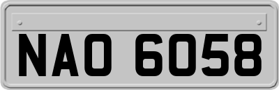 NAO6058