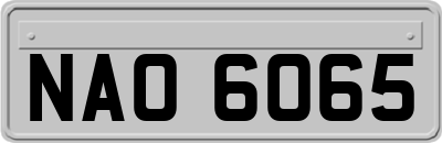 NAO6065