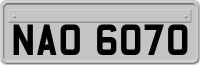 NAO6070