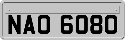 NAO6080