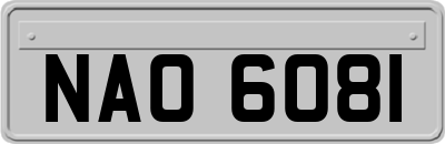 NAO6081