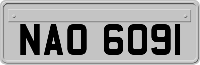 NAO6091