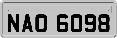 NAO6098