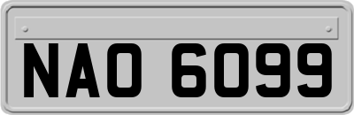 NAO6099