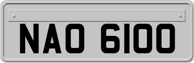 NAO6100