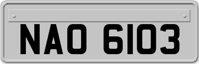 NAO6103