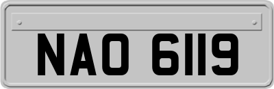 NAO6119