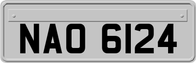 NAO6124