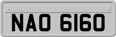 NAO6160