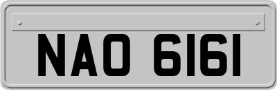 NAO6161