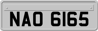 NAO6165