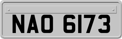 NAO6173