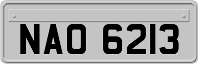 NAO6213