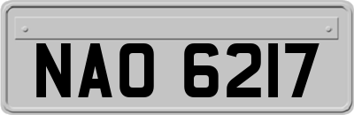 NAO6217