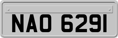 NAO6291