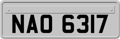 NAO6317