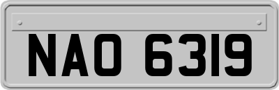 NAO6319