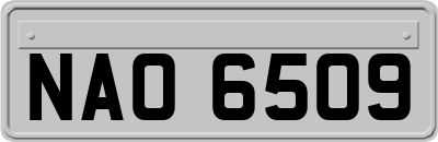 NAO6509