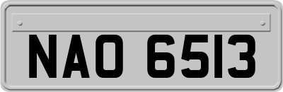 NAO6513