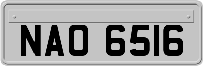 NAO6516