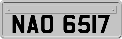 NAO6517