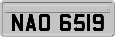 NAO6519