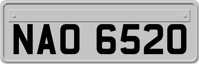 NAO6520