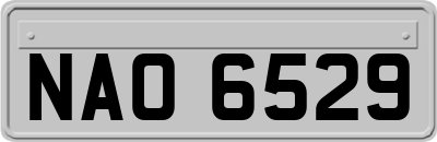 NAO6529