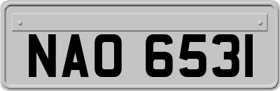 NAO6531