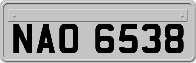 NAO6538