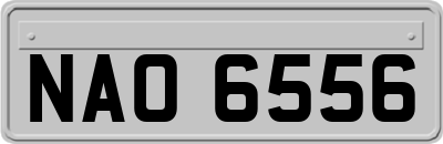 NAO6556