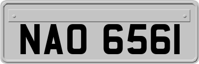 NAO6561