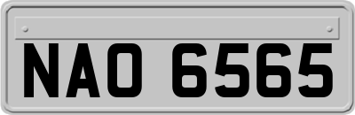 NAO6565