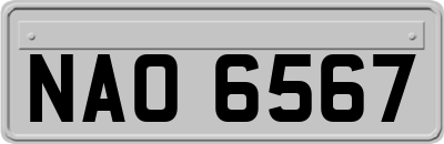 NAO6567