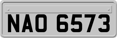 NAO6573