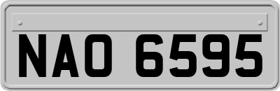 NAO6595