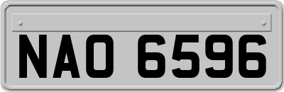 NAO6596