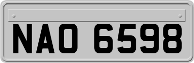 NAO6598