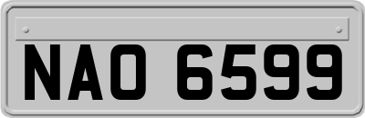 NAO6599